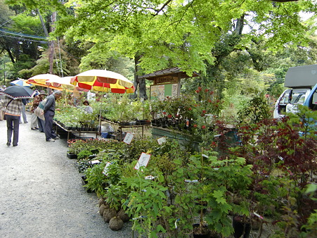 CIMG0136