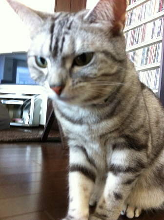 写真 3