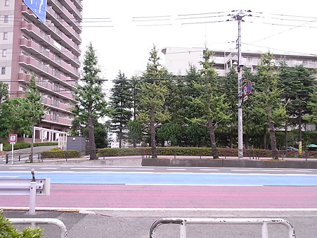 RIMG0694