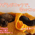 100329-【猫アニメ】チビらぶロックで安心にゃ！