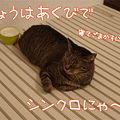 100416-【猫アニメ】あくびでシンクロにゃ？！