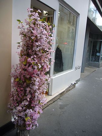 P2390446