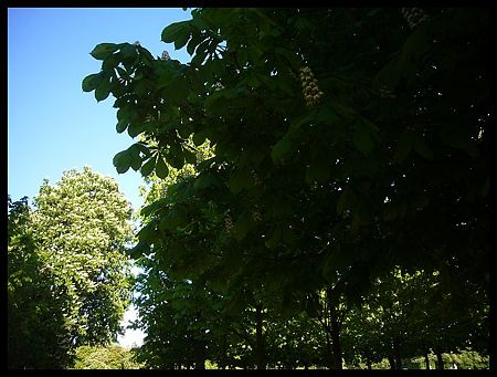 P2430271