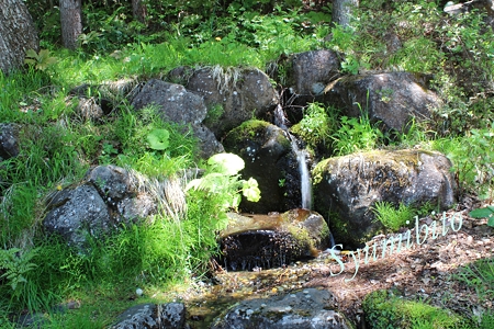 樹氷の湧水