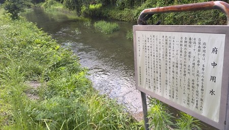 府中用水