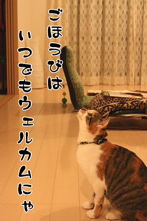 2010040204