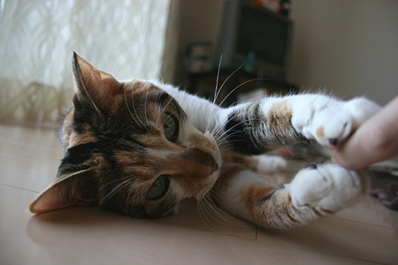 2011010401