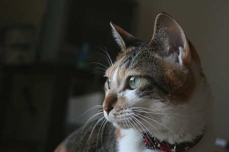2011010406
