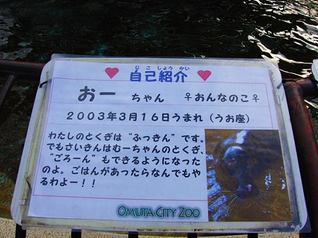 <b>大牟田市動物園</b>のゴマフアザラシ - て～げ～、て～げ～ なんくるなるさ <b>...</b>