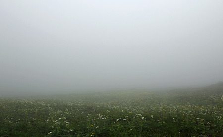 20100801-13霧2