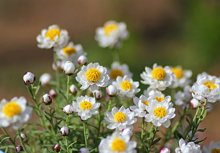 aIMG_4205