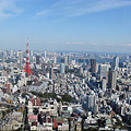 六本木ヒルズより東京タワーを望む。