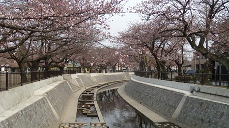 DSCN2486