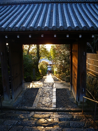 IMGP2211