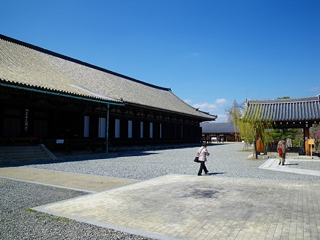 IMGP2154