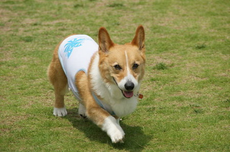 DSC06290