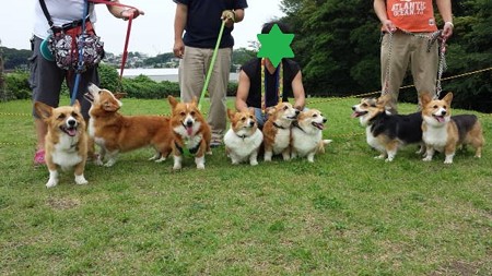 20140622_153128