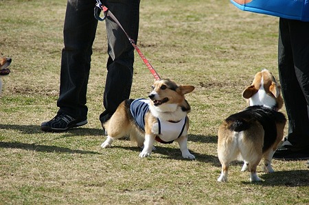 DSC07050