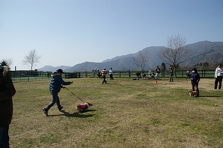 DSC07125