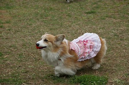 DSC08025