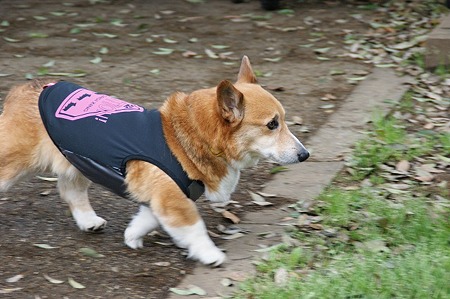 DSC09143