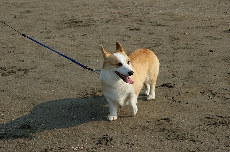 DSC01136