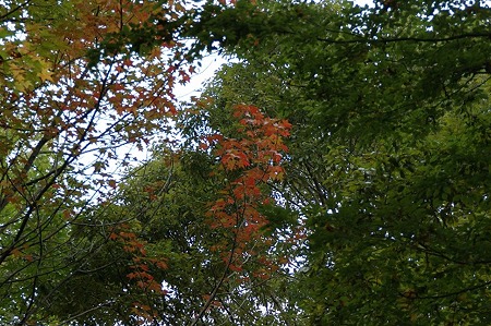 DSC03961