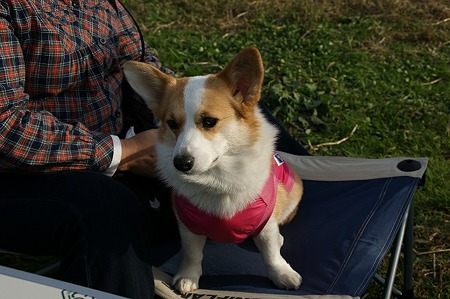 DSC04952