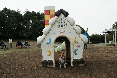 DSC07351