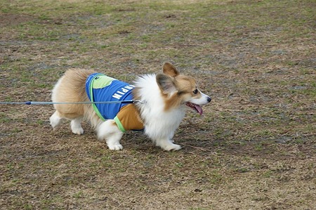 DSC08184