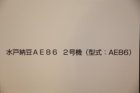 P29 86style06