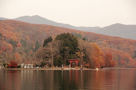 P04野尻湖 琵琶島