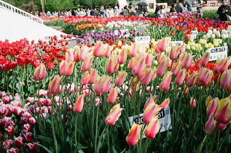 SMENA_FUJI_PRO400H05052011-04