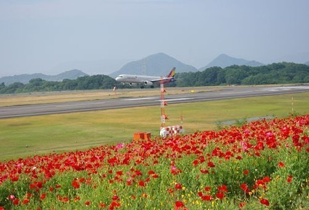 IMGP5067_0603