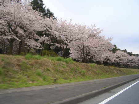 高田橋を渡った辺り