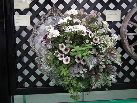 DSCF0313