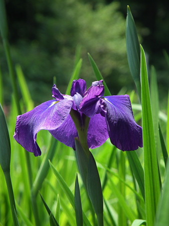 DSCF0104