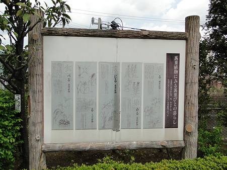 市川市万葉植物園