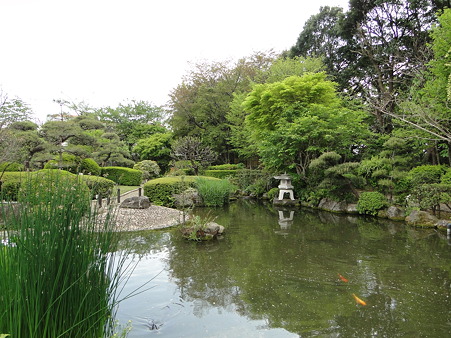 市川市万葉植物園