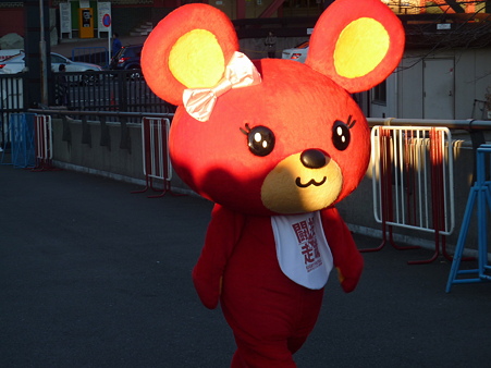 こぐまのコディ