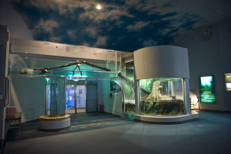 notojima100826505