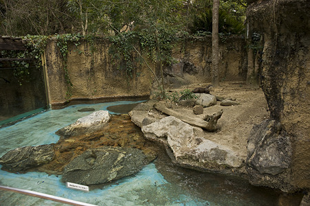 noichi110312543