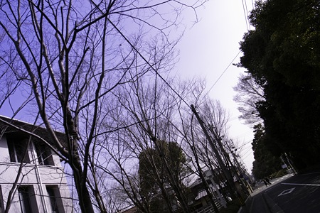 2010-03-14の空