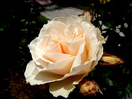 P1010162