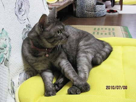 IMG_0051jl