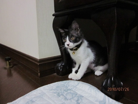 IMG_1233jl