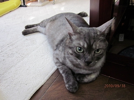 IMG_8166se