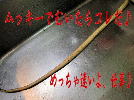 ごぼう~♪