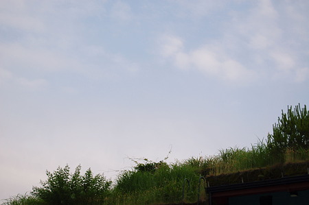 2010年06月07日_DSC_2004
