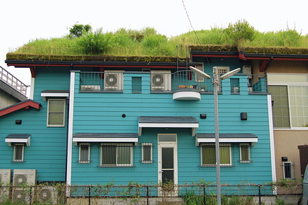 2010年06月07日大草原の小さな家_DSC_2005